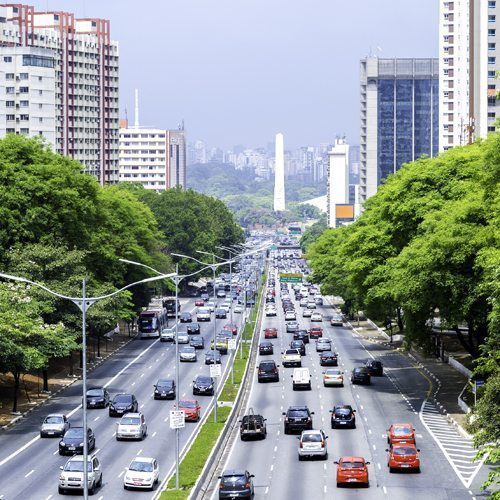 Gestão arbórea e de rede de saneamento